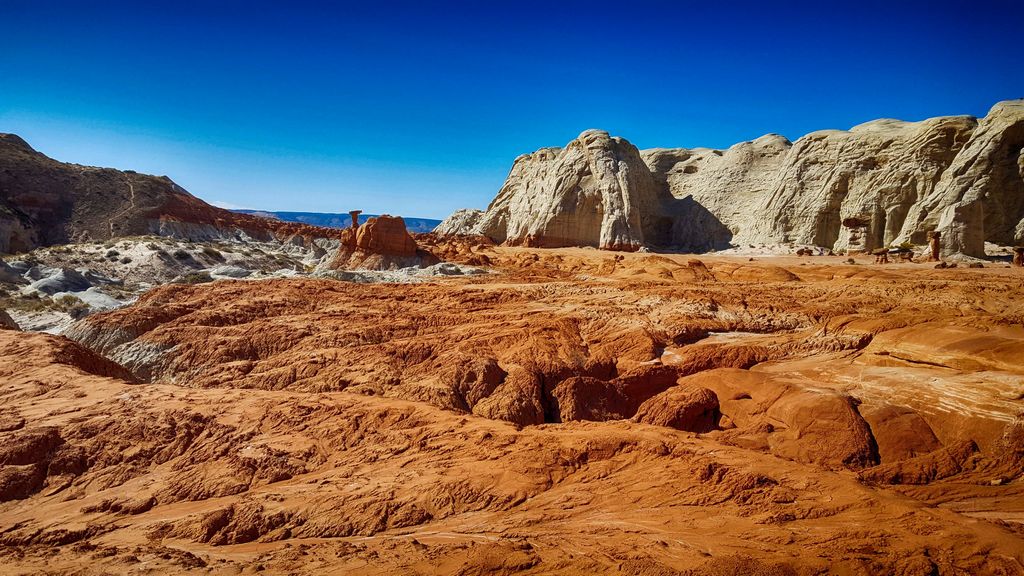 The Hoodoos